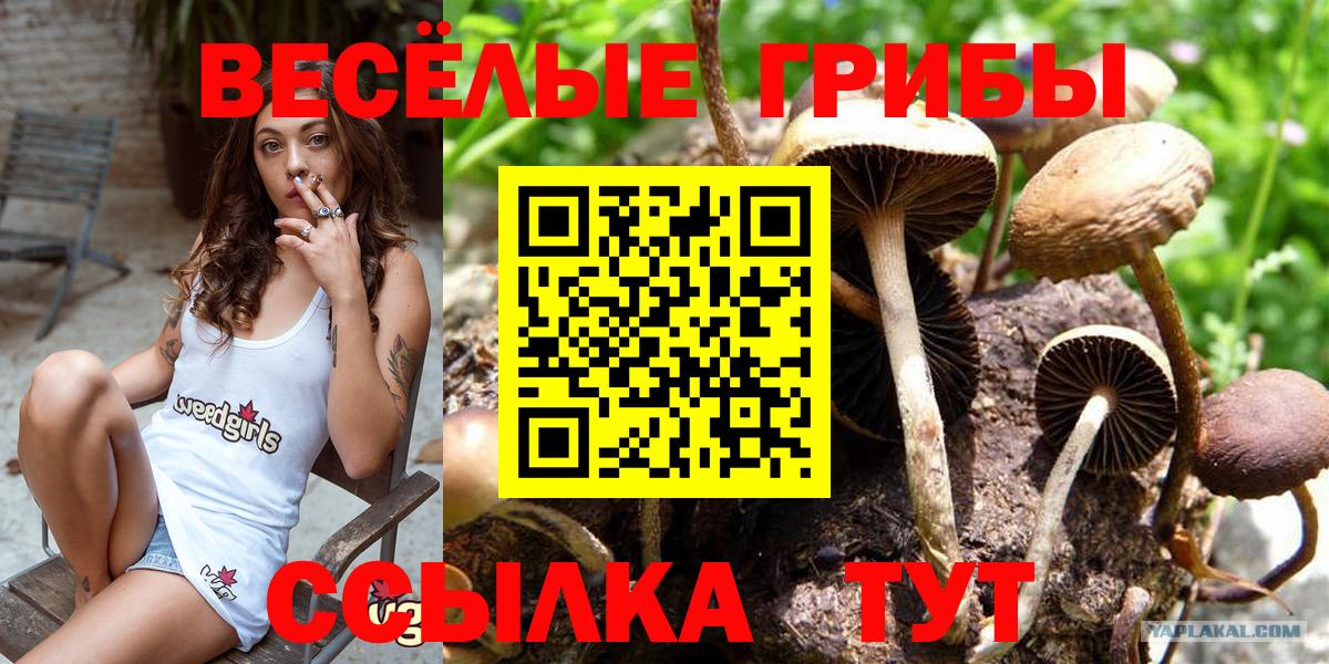 Псилоцибиновые грибы ЛСД  Вход с VPN  Казань 