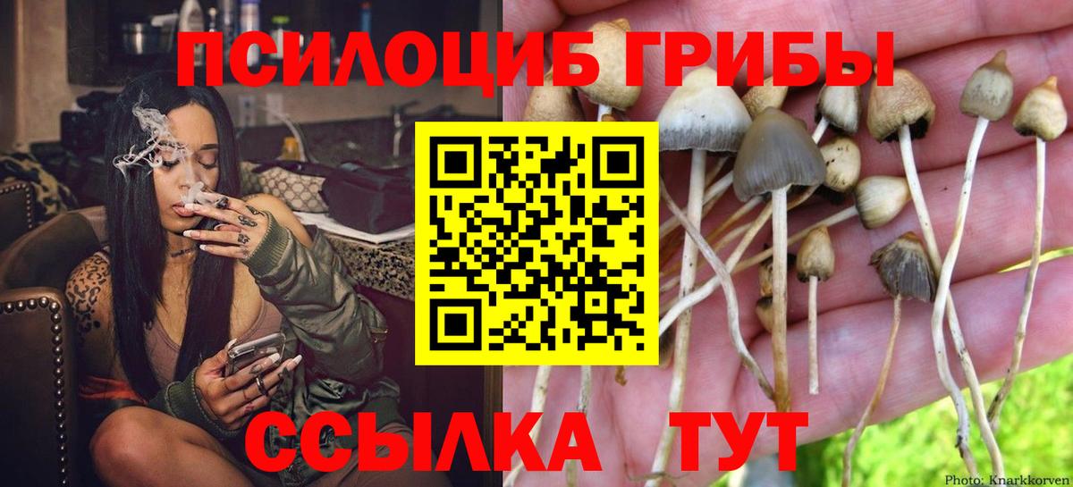 Псилоцибиновые грибы мухоморы Казань